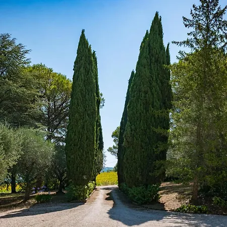 Degli Scoiattoli By Barbarhouse Molino Ciccolini